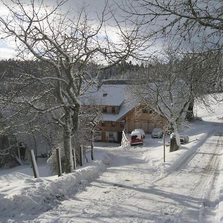 Sigmundenhof Apartment Schonach im Schwarzwald Ngoại thất bức ảnh