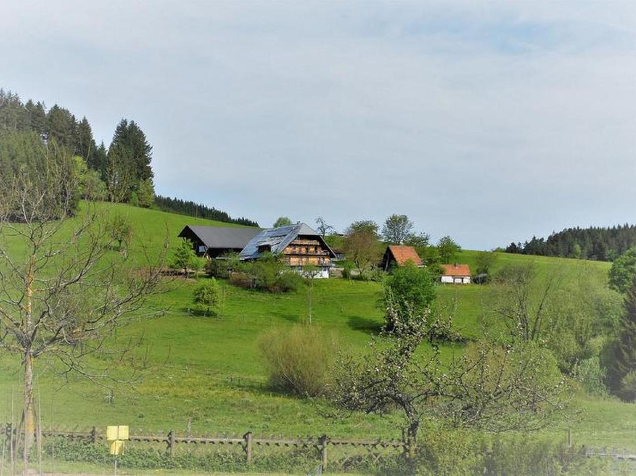 Sigmundenhof Apartment Schonach im Schwarzwald Ngoại thất bức ảnh