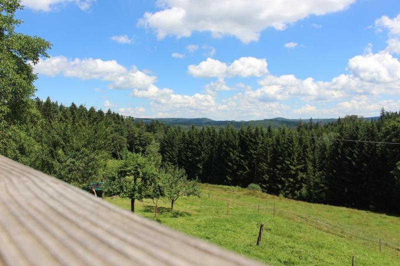 Sigmundenhof Apartment Schonach im Schwarzwald Ngoại thất bức ảnh