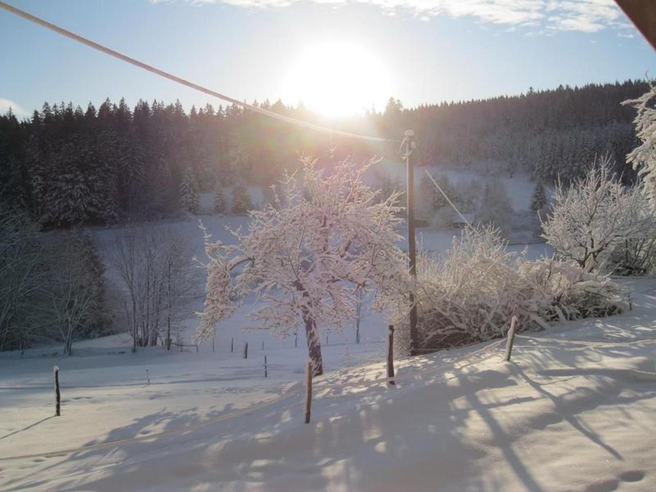 Sigmundenhof Apartment Schonach im Schwarzwald Ngoại thất bức ảnh